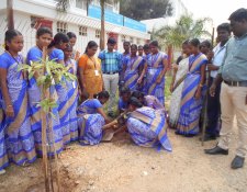 gallery » Activities » 2016-17 » TreePlantation-27.10.16